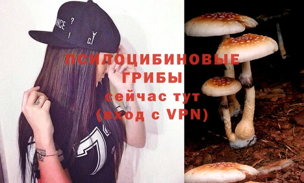 ALPHA-PVP Каменногорск