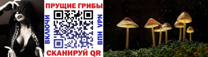 Псилоцибиновые грибы Magic Shrooms  Купить  Брюховецкая 